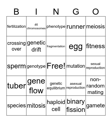 Reproduction Bingo Card