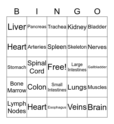 The Human Body Bingo Card