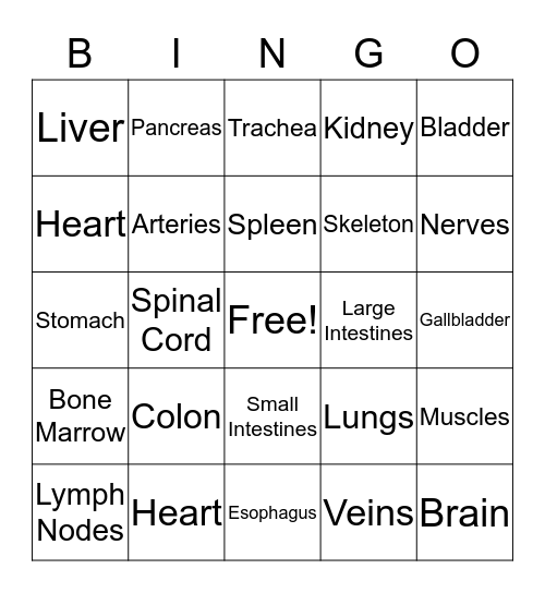The Human Body Bingo Card