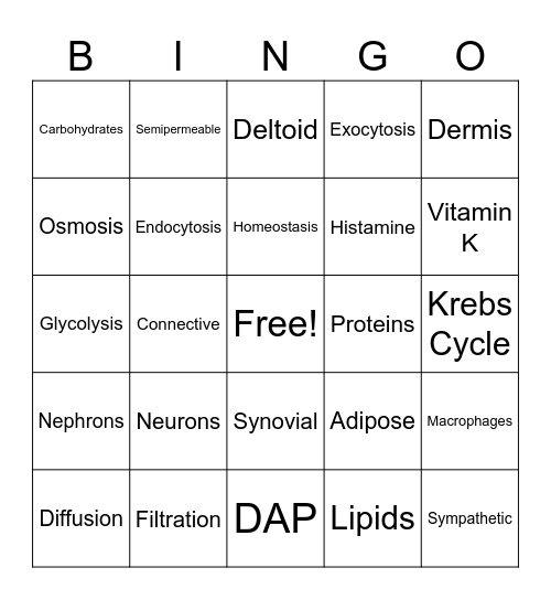 Review Bingo Card