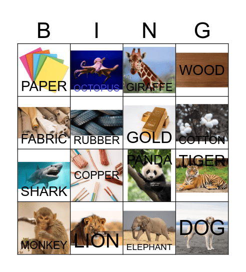 Kids 6 Bingo Card