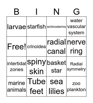 Echinoderm Bingo Card