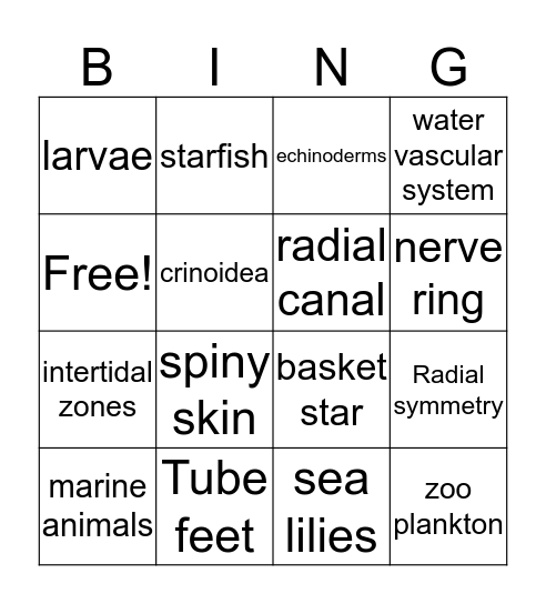 Echinoderm Bingo Card