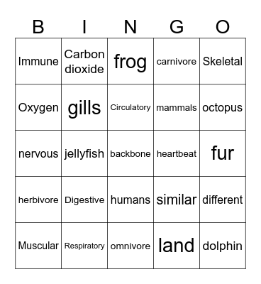 Body System Bingo Card