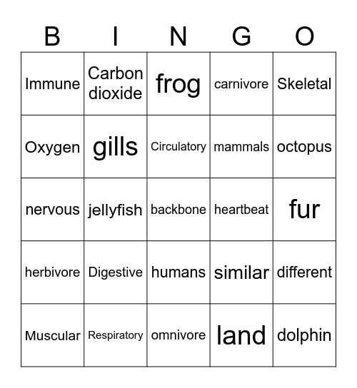 Body System Bingo Card