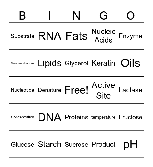 Macromolecules and Enzymes Bingo Card
