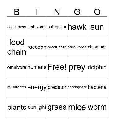 Plants, Animals, and Food Chains Bingo Card