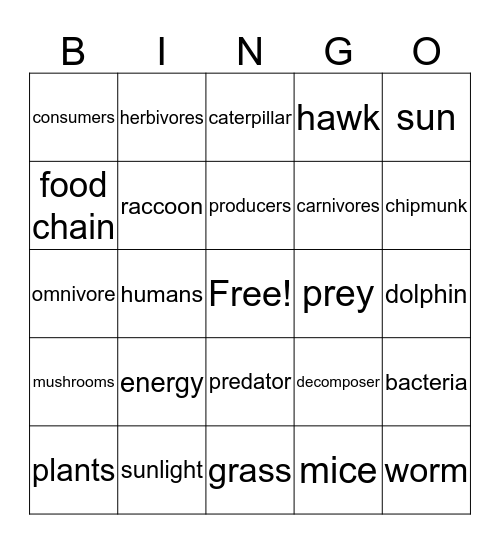 Plants, Animals, and Food Chains Bingo Card