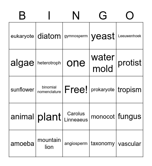 Chapter 1 Review Bingo Card