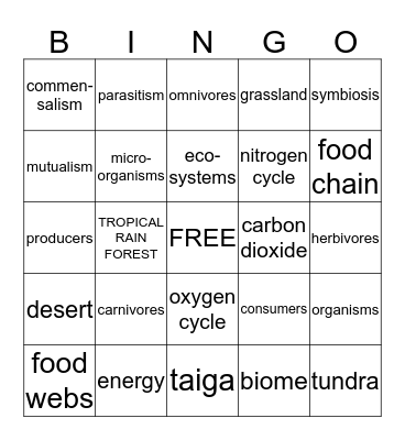 BIOMES BINGO Card