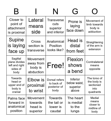 Anatomical Bingo Card