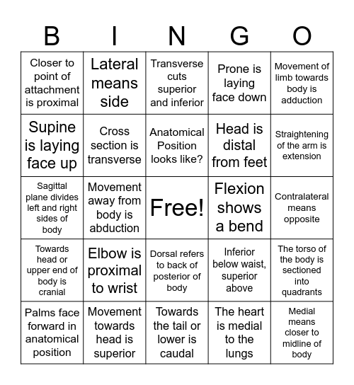 Anatomical Bingo Card