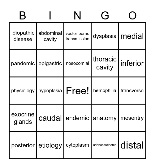 Chapter 2 Bingo Card