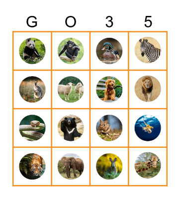 Pictures Bingo Card