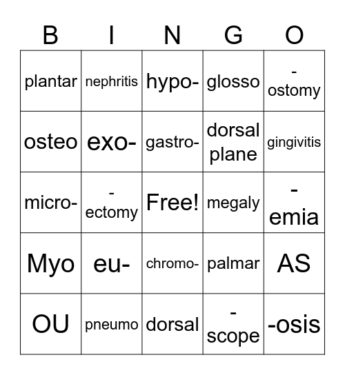 Terminology Bingo Card
