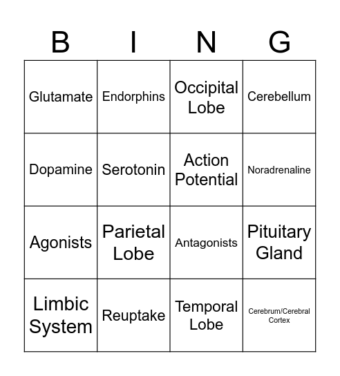 neuroscience club review! Bingo Card