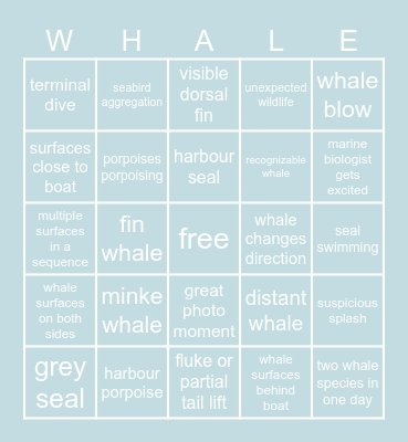 Whale Watching Bingo Card
