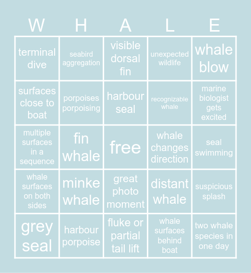 Whale Watching Bingo Card