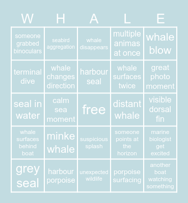 Whale Watching Bingo Card