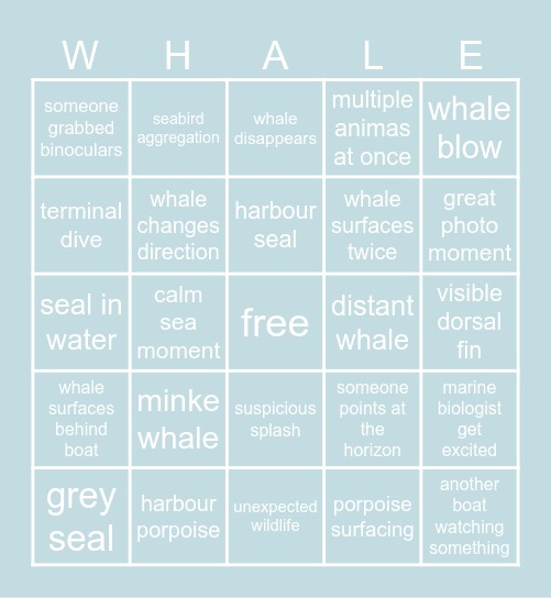 Whale Watching Bingo Card