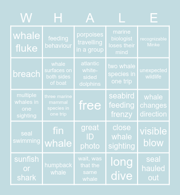 Whale Watching Bingo Card