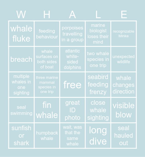 Whale Watching Bingo Card
