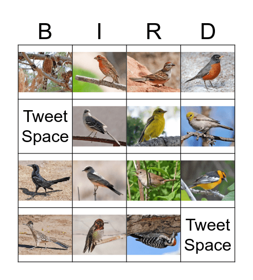 Mojave Desert Birds Bingo Card
