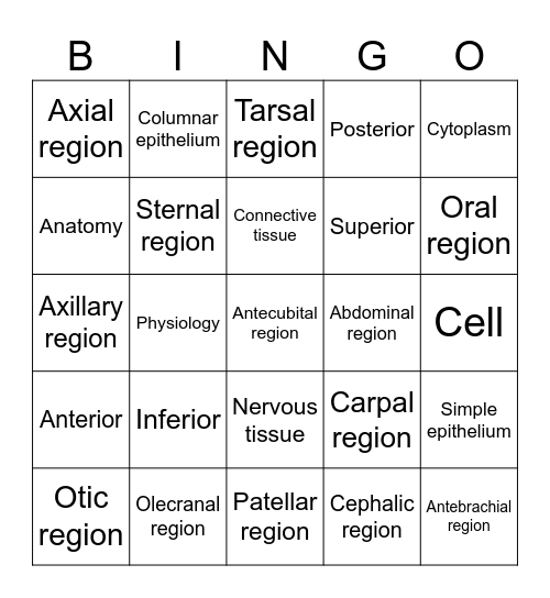 Anatomy Unit 1 Bingo Card
