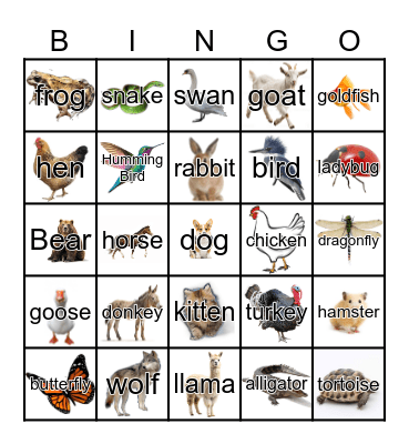 Animals Bingo Card