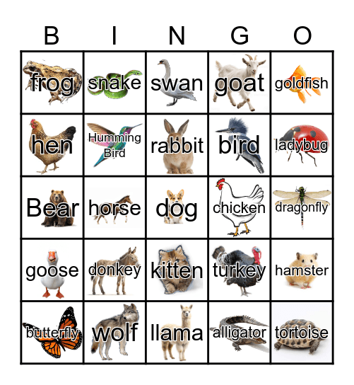 Animals Bingo Card