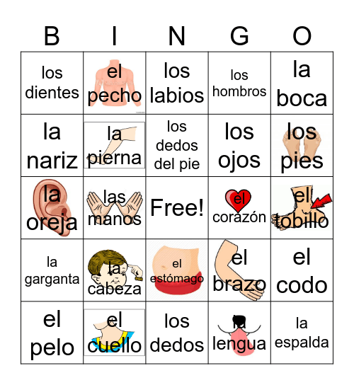 Las partes del cuerpo Bingo Card