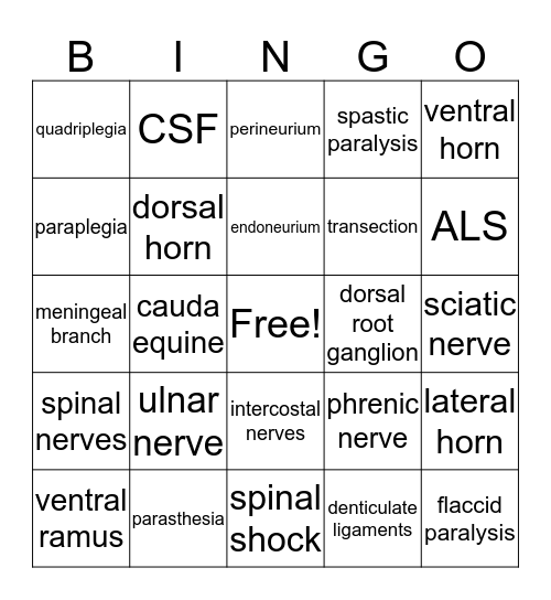 Spinal Cord Bingo Card