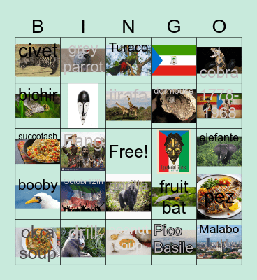 Equatorial Guinea Bingo Card