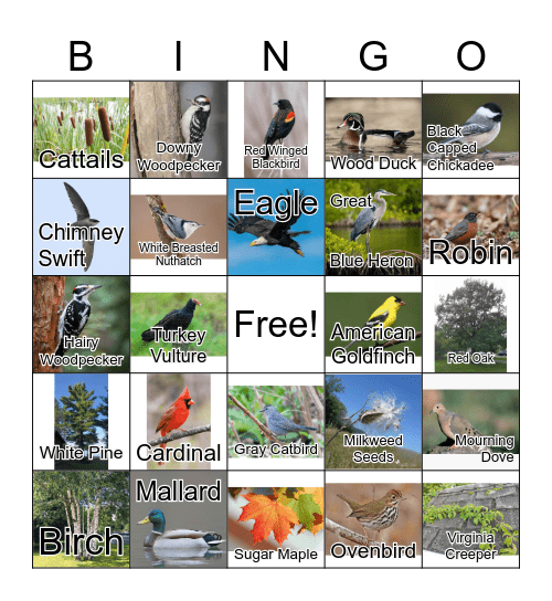 Interstate Bird & Plant Bingo Card