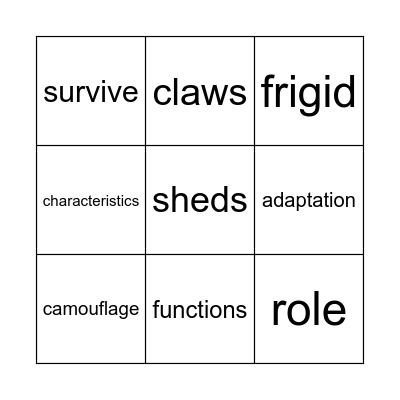 Animal Adaptations Bingo Card
