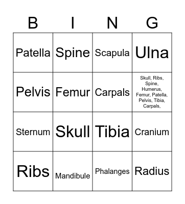 Skeletal System Bingo Card