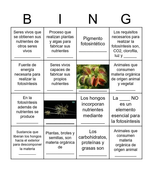 Bingo Nutritivo Bingo Card