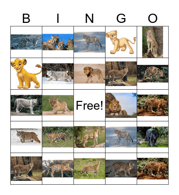 Big cat bingo Card