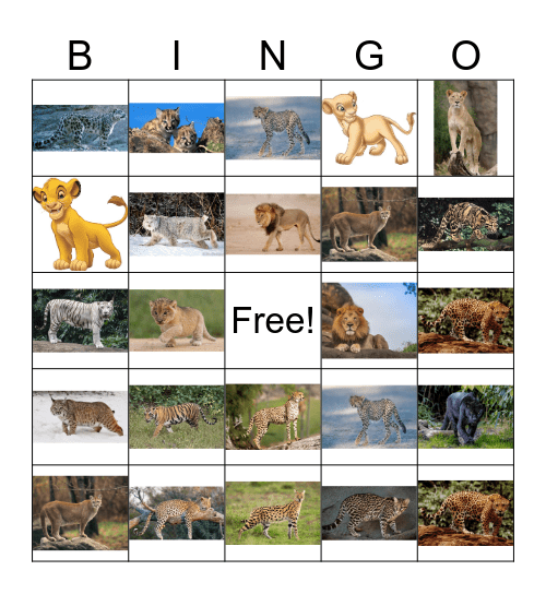 Big cat bingo Card