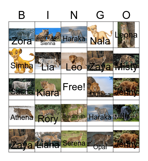 Big cat bingo Card