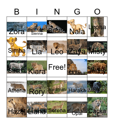 Big cat and friends bingo Card