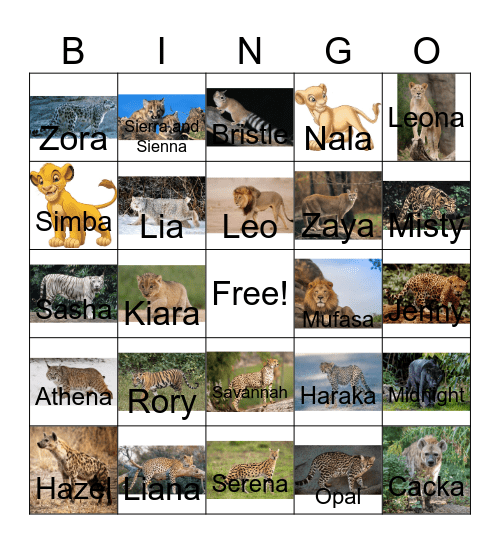 Big cat and friends bingo Card