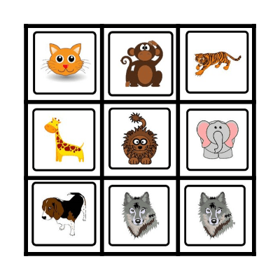 ANIMAL Bingo Card