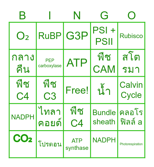 Photosynthesis Bingo Card