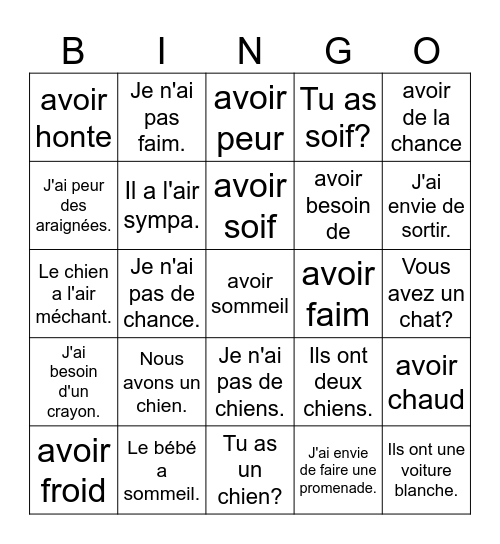 les expressions avec AVOIR Bingo Card