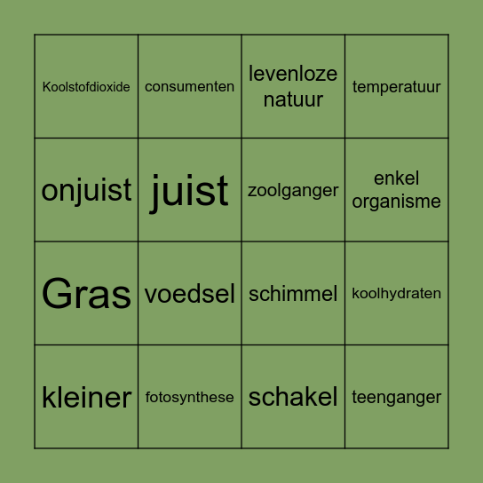BINGO Ecologie Bingo Card