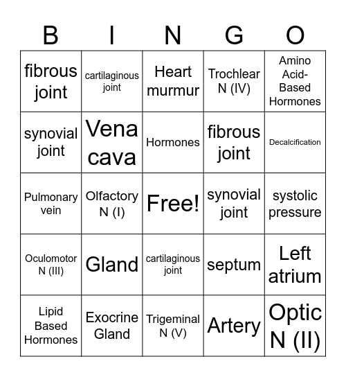 Anatomy Bingo Card
