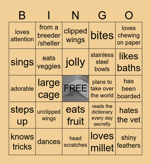Parrot/pet bird bingo Card