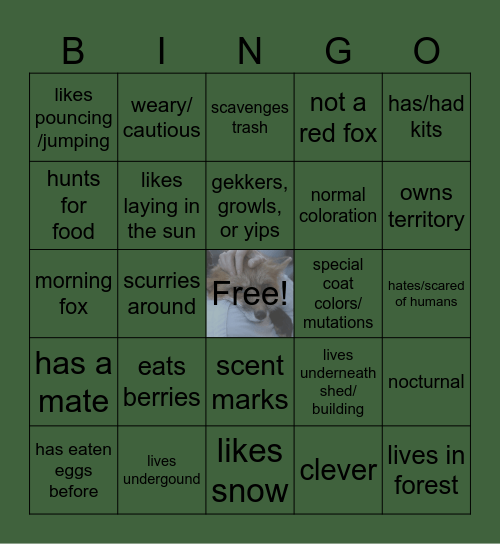 FOX BINGO Card