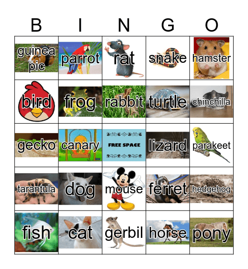 Pets Bingo Card